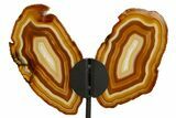 Agate Butterfly Wings - Brazil #322215-1